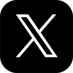 公式X